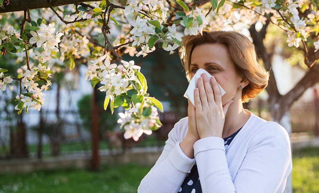 pollen allergies