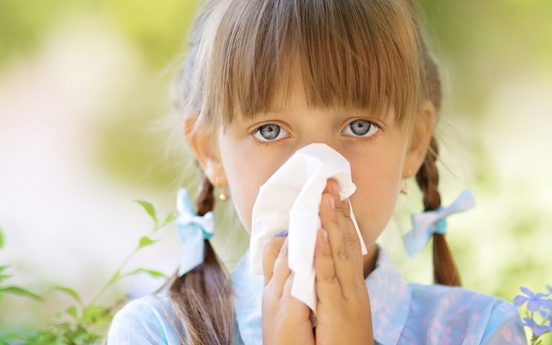 Sneezing Through the Summer: When a Cold Could Be Allergies