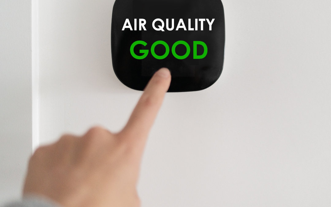 The Breath of Fresh Air: Understanding How Air Quality Affects Asthma