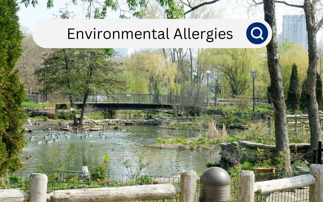 Understanding Environmental Allergies: Causes, Symptoms, and Management